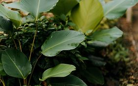 Mayana By Blue Space